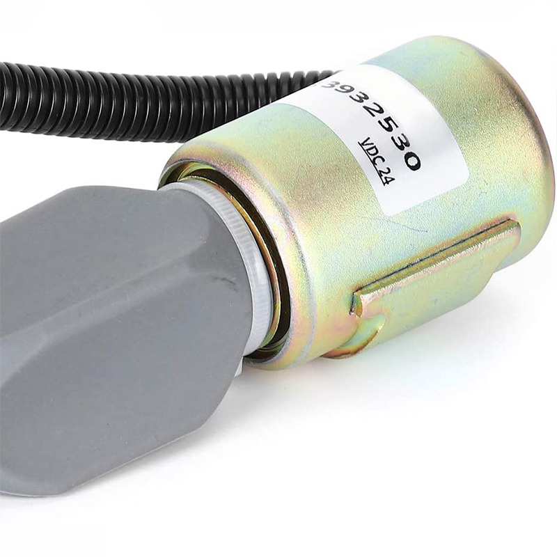 61HVN3I5djL._AC_SL1001_