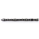 Camshaft  6D31