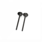 Exhaust | INTAKE VALVE 6D125