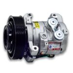 WhatsApp Image 2025-12-08 at 6.19.19 PM