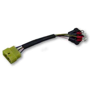 فيشة كونتاك